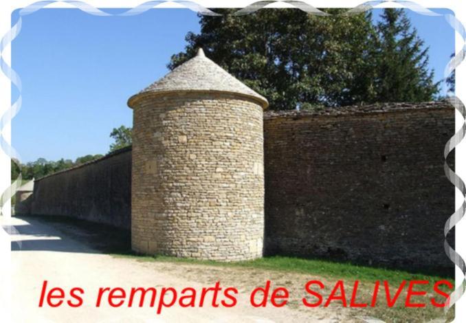 Le Puits Fortifie Salives Exteriör bild