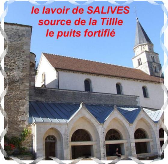 Le Puits Fortifie Salives Exteriör bild